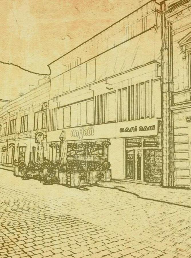 Nani Nani Boutique Hotell Braşov Eksteriør bilde